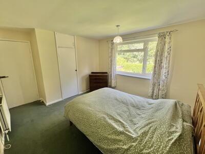 Picture 23